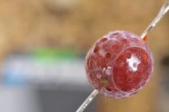 Super Wrap -Fishing Gear Verkoop 04c49db788cd6e8503e4753fd38cadf682dc6f6c