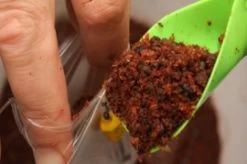 Solidz Pva Bag -Fishing Gear Verkoop 20bdf72e8df31e613d9e95e0c420be8b892ef5bb