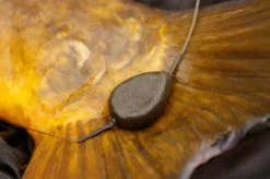 Dark Matter Tungsten Anti Tangle Sleeve 9 Dark Matter Tungsten Anti Tangle Sleeve -Fishing Gear Verkoop 4506e6d08a35a4a36872f6dc5434648ffb2b4808