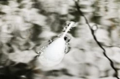 Interceptor Surface Float -Fishing Gear Verkoop 7f5e515373b49ad2f60f7aed3a930df036519028