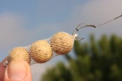 Boilie Pva Funnelweb System 9 Boilie Pva Funnelweb System -Fishing Gear Verkoop a5d574f4d2a57401087a00a187150209412ba77a