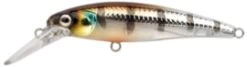 Ikiru Naturals Nicro Jerk 50F 11 Ikiru Naturals Nicro Jerk 50F -Fishing Gear Verkoop b338b5bae1a388ad10ec7bfc7a37606fda64feb9