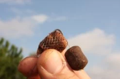 Longchuck Pva Funnel Web System 9 Longchuck Pva Funnel Web System -Fishing Gear Verkoop bd5689de151f30029d873f1af1e1798d6a01d8d6