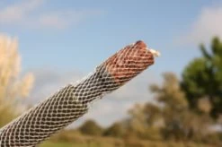 Longchuck Pva Funnel Web System 7 Longchuck Pva Funnel Web System -Fishing Gear Verkoop e4d1f9d0fceaf04d3323814ad246679b64ce930c