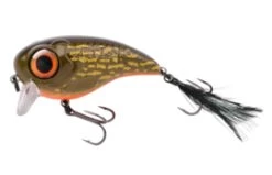 Fat Iris 60/80 12 Fat Iris 60/80 -Fishing Gear Verkoop e6141db63a334ef9e3f6c979107ea4df1e0f4a5b